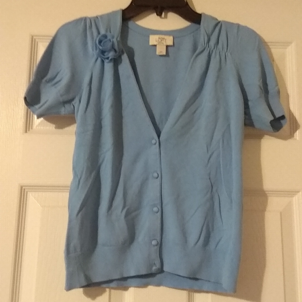💫 Ann Taylor LOFT Petites